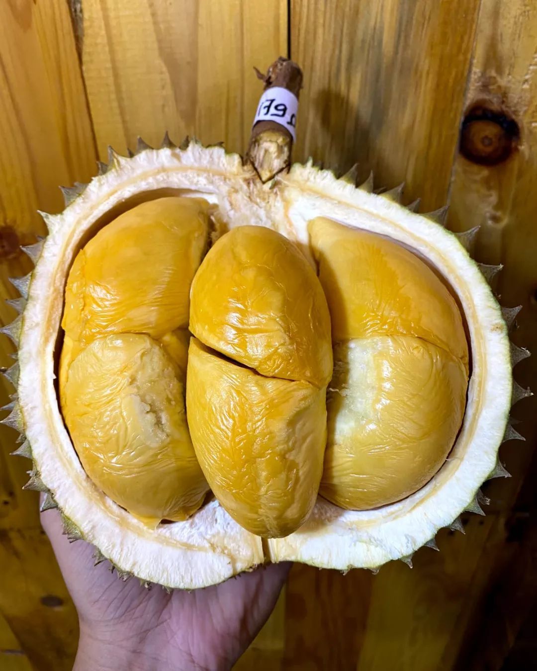 Tempat beli durian premium yang legit manis rasanya