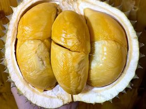 5 Tempat Beli Durian Premium, Jenis Lokal hingga Musang King