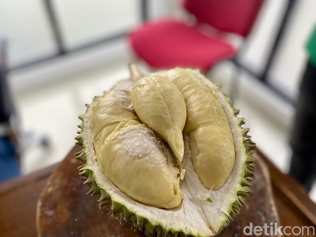 Durian Tai Babi