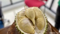 Durian di Durian Traveler Store juga selalu disajikan segar. Mereka menyimpan durian dengan teknik frozem secara utuh beberapa saat setelah durian tersebut matang pohon. Foto: detikcom