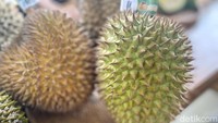 Bukan hanya itu, nantinya Durian Traveler Store juga akan menawarkan berbagai menu olahan, mulai dari pizza durian, durian bakar, es cendol durian dan es pisang ijo durian. Foto: detikcom