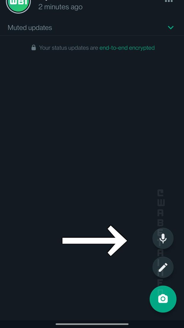 Fitur kirim voice notes di WhatsApp Status