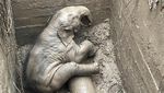 Dramatis, Evakuasi Gajah yang Terperosok Got di Thailand