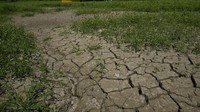Pemerintah telah mengumumkan keadaan darurat di beberapa wilayah utara karena kekeringan yang berkepanjangan dan gelombang panas yang menyertai mengeringnya Sungai Po.