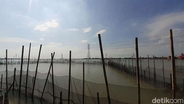 Penampakan lahan yang disebut tanah musnah di Desa Trimulyo, Semarang, Jumat (15/7/2022).