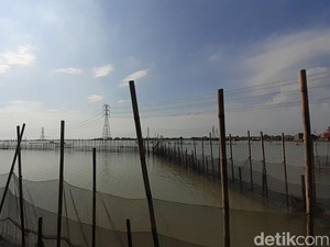 Lurah Trimulyo Ungkap Harapan Pemilik Tanah Musnah: Minta Ganti yang Pantas