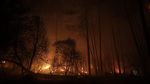 Foto Kebakaran Hutan di Prancis yang Meluas, 10.000 Jiwa Dievakuasi