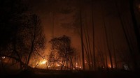 Dua kebakaran telah menghanguskan hampir 5.000 hektar pohon pinus di Gironde.  