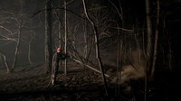 Gelombang panas di Eropa Barat memicu kebakaran di kawasan hutan yang luas.