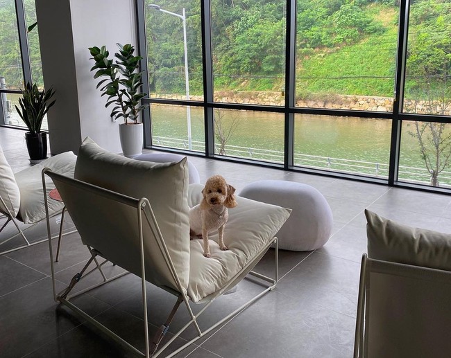 Beberapa bahkan menyebut kediaman pemain Weighlifting Fairy Kim Bok Joo tersebut bak galeri seni atau hotel.Foto: Instagram @envy_poopoo