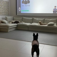 Ini potret ruang keluarganya. Foto: Instagram @envy_poopoo