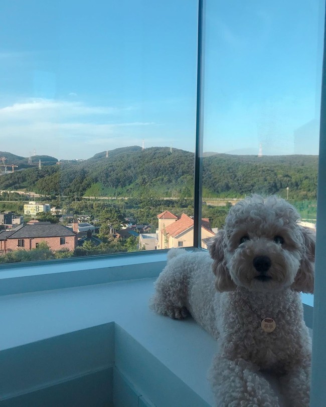 Beberapa netizen terkejut dengan penampakan rumah pemain Extraordinary Attorney Woo tersebut bahkan menduga bahwa Kang Ki Young adalah anak pengusaha kaya yang sudah berada sejak awal. Foto: Instagram @envy_poopoo