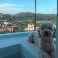 Beberapa netizen terkejut dengan penampakan rumah pemain Extraordinary Attorney Woo tersebut bahkan menduga bahwa Kang Ki Young adalah anak pengusaha kaya yang sudah berada sejak awal. Foto: Instagram @envy_poopoo