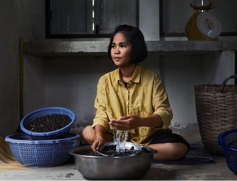 Saingan Kopi Luwak! Ini Kopi Black Ivory dari Kotoran Gajah Seharga Rp 37 Juta
