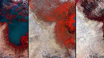 Danau Chad di Afrika terlihat pada tahun 1972 (kiri), 1987 (tengah), dan 2002 (kanan). Danau terbesar keenam di dunia sekarang menghilang karena kekeringan yang berlebihan Foto: NASA