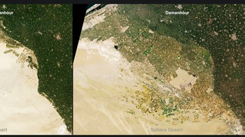 Urbanisasi dan intrusi air asin menggerogoti lahan pertanian Mesir. Salah satu tanggapan adalah upaya untuk memperluas pertanian ke Gurun Sahara. Foto: NASA