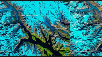  1930-an dan 2005: Gletser Pedersen Alaska Foto: NASA