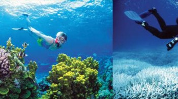 Great Barrief Reef pada tahun 2002 (kiri) vs dan pada tahun 2014 (kanan)  Foto: NASA