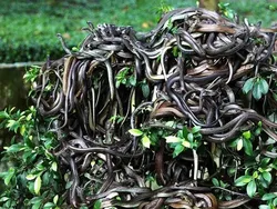 10 Tempat Misterius yang Hanya Bisa Dikunjungi di Google Earth