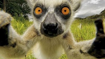 Nah kan bikin kaget aja. Foto: (Bored Panda).