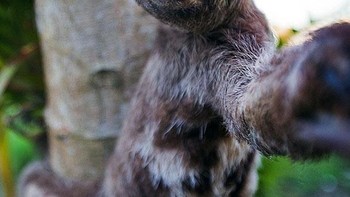 Aku menyebutnya tampan dan pemberani. Foto: (Bored Panda).