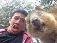 20 Potret Hewan Asyik Selfie, Bikin Kamu Senyum-Senyum Sendiri