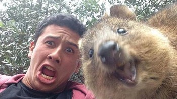 Lebih kekaget sih itu orangnya. Foto: (Bored Panda).