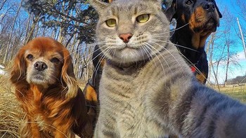 Mumpung lagi acara keluarga, selfie dulu. Foto: (Bored Panda).