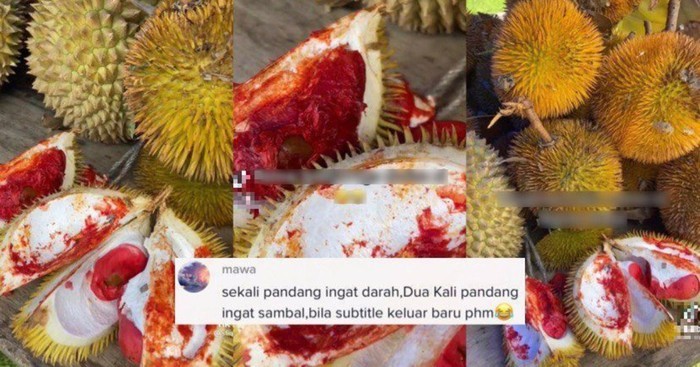 5 Durian Unik Indonesia, Durian Gundul hingga Durian Pelangi 5 Durian Unik Indonesia, Durian Gundul hingga Durian Pelangi