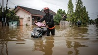 Seorang warga terpaksa mendorong motornya melintasi banjir setinggi paha di Pinang Griya Permai, Kota Tangerang.