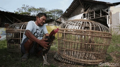 Melihat Lagi Urat Nadi Pantura yang Putus Dilibas Tol Cipali