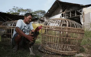 Melihat Lagi Urat Nadi Pantura yang Putus Dilibas Tol Cipali