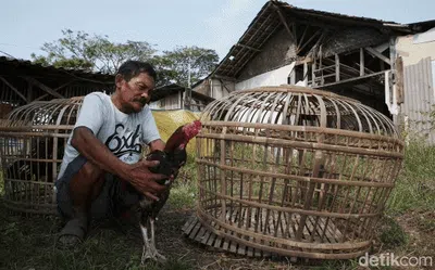 Melihat Lagi Urat Nadi Pantura yang Putus Dilibas Tol Cipali