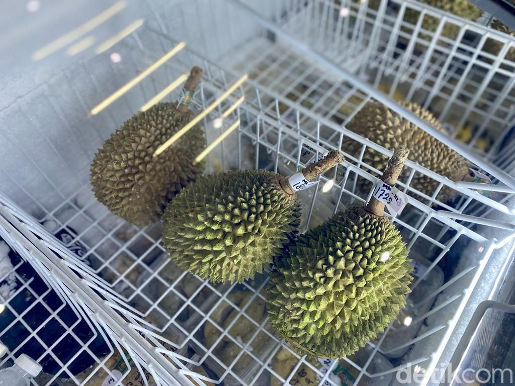 Durian Traveler