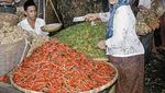 Nostalgia Penjual Sayur dan Buah di Pasar Tradisional Tahun 70-an