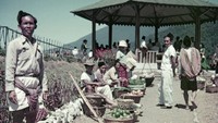 Nah, kira-kira beginilah suasana berjualan para pedagang di pasar tradisional. Para penjual buah-buahan membuka lapak mereka masing-masing. Foto: Lib.UWM - Forman Harrison