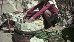 Nostalgia Penjual Sayur dan Buah di Pasar Tradisional Tahun 70-an