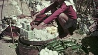 Ini adalah penjual makanan tradisional yang menjajakan dagangannya di sebuah pasar tradisional di pulau Jawa. Ada telur hingga bacan. Foto: Lib.UWM - Forman Harrison