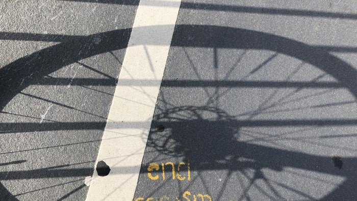 Ilustrais gowes