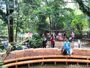 Harga Lahan Kebun Binatang Bandung Ditaksir Tembus Rp 2 Triliun