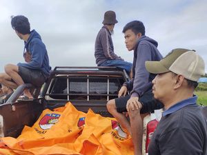KKB di Papua Serang Warga, 10 Orang Tewas