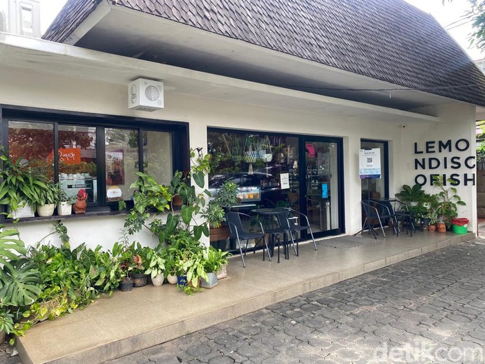 Ada Gelato Kastengel dan Teh Botol yang Manis Gurih di Kafe Ramah Anabul Ada Gelato Kastengel dan Teh Botol yang Manis Gurih di Kafe Ramah Anabul