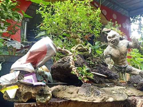 Bonsai mini bertemakan lingkungan karya perajin dan seniman I Komang Merta Sedana pada Sabtu (16/7/2022), di Antik Mentik, Jalan Seroja, Denpasar, Bali.