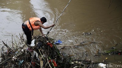 Gercep! Petugas Bersihkan Sampah Kayu di Pintu Air Manggarai