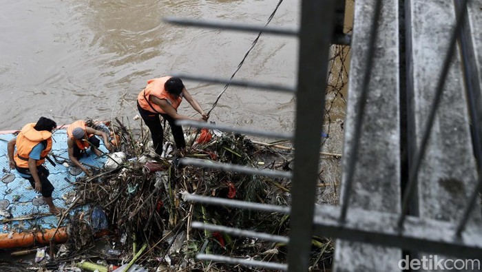 Gercep! Petugas Bersihkan Sampah Kayu di Pintu Air Manggarai Hujan deras yang terjadi pada Sabtu (16/7) kemarin, membuat petugas kebersihan bekerja ekstra keras. Mereka membersihkan sampah yang terbawa arus.
