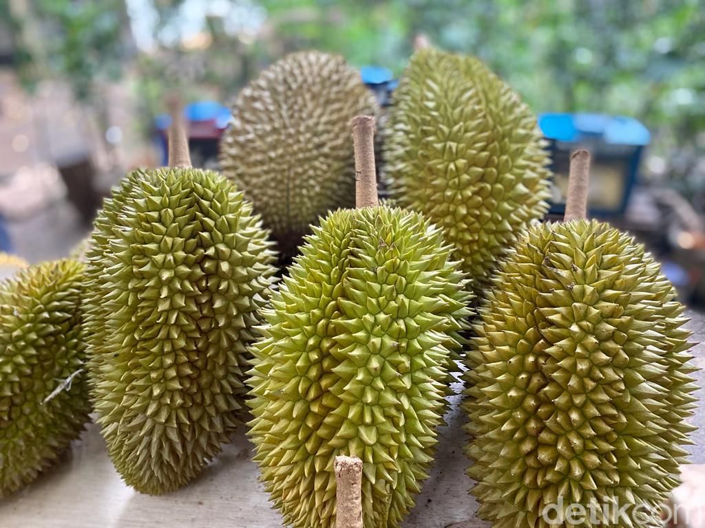 Kang Duren