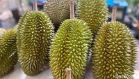 Di Kang Duren ada 100 varietas durian yang ditawarkan. Di antaranya ada durian lokal nusantara yang didatangkan dari 10 lebih daerah penghasil durian. Foto: detikcom