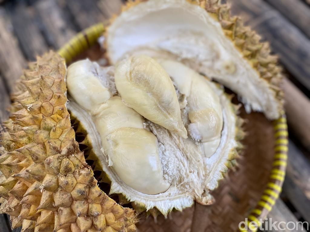 Kang Duren