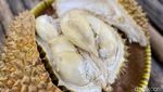 Ada Durian Sapi hingga Durian Bambang yang Manis Creamy di Kang Duren