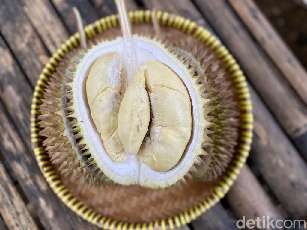 Kang Duren